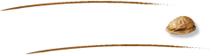 Das Spiel