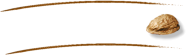 Die Opfer