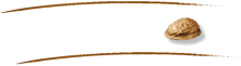 Die Filme