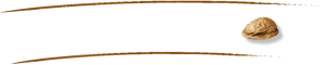 Der Datenschutz