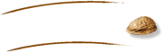 Die Links